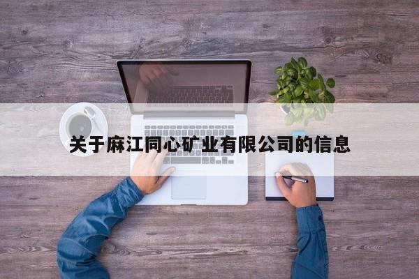关于麻江同心矿业有限公司的信息