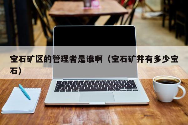 宝石矿区的管理者是谁啊（宝石矿井有多少宝石）