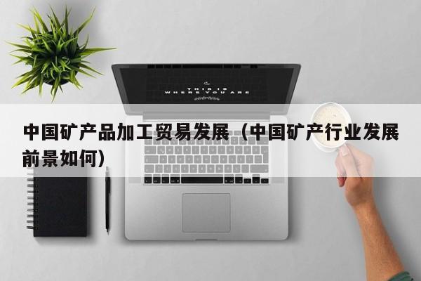 中国矿产品加工贸易发展（中国矿产行业发展前景如何）