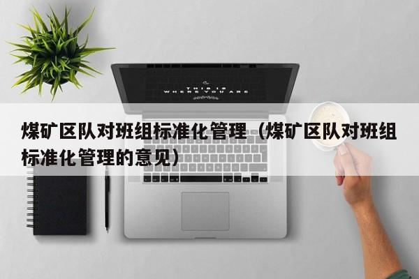 煤矿区队对班组标准化管理（煤矿区队对班组标准化管理的意见）