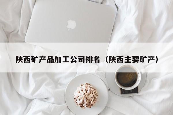 陕西矿产品加工公司排名（陕西主要矿产）